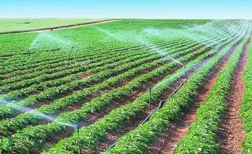 在线刺激艹农田高 效节水灌溉